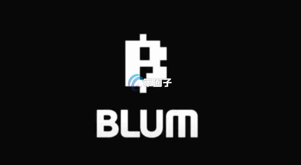 BLUM币上市时的市值和发行价格是多少？