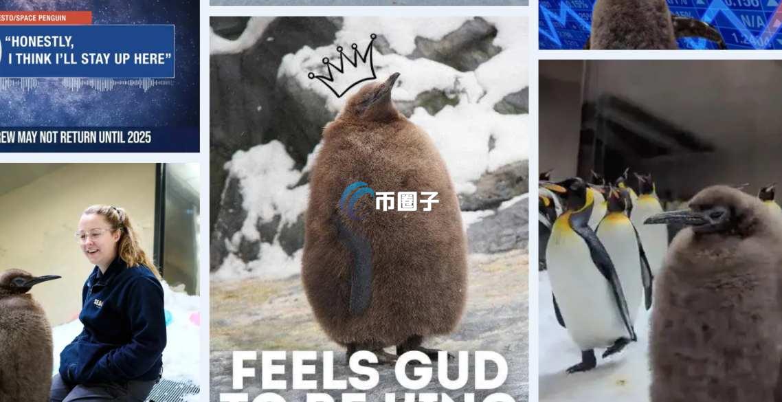 PESTO是什么币种？PESTO币怎么样？