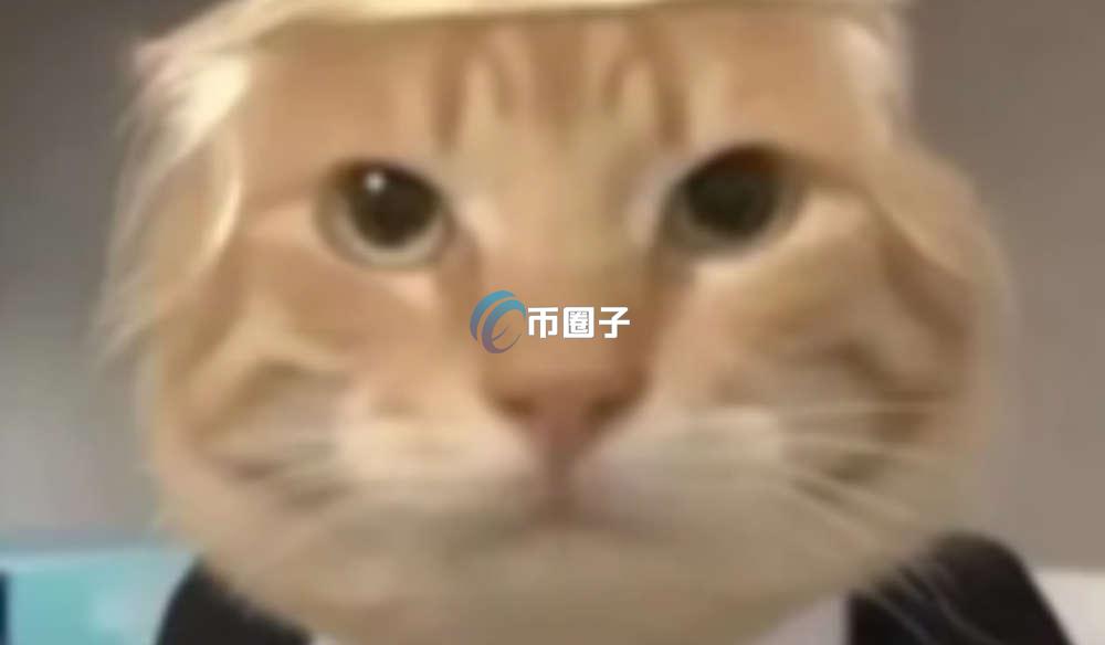 哈基米是什么币？一文讲明白哈基米币