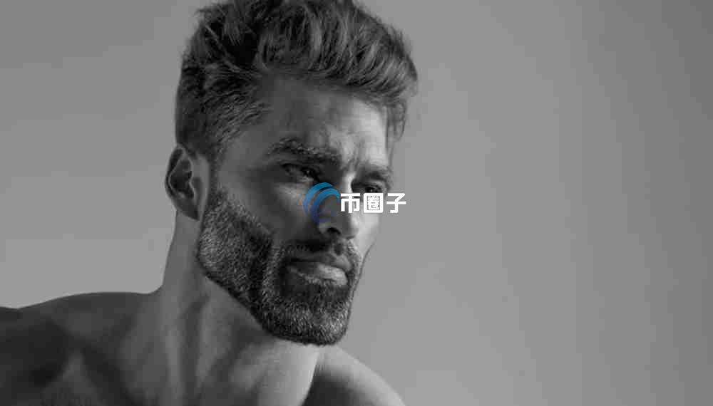 GIGA币潜力大吗？GIGA币还会涨吗？