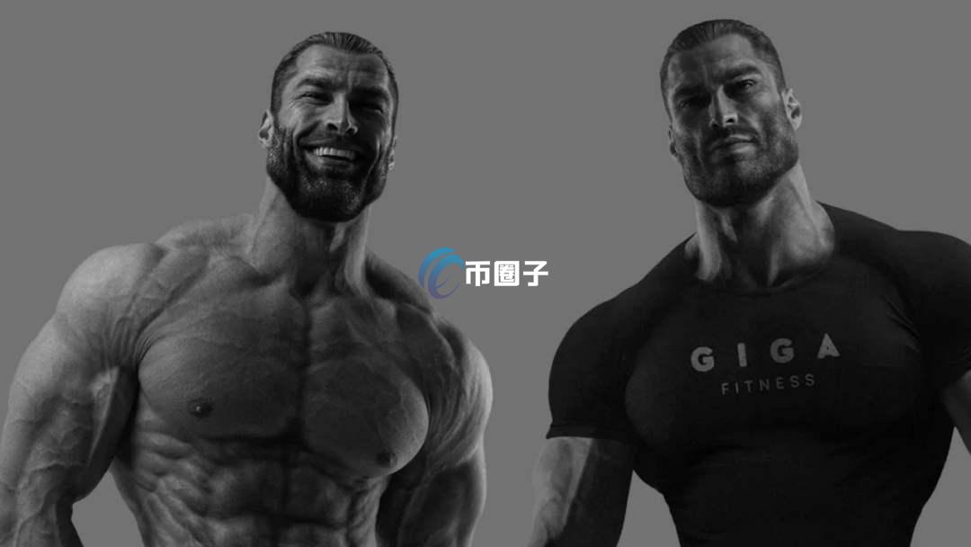 GIGA币潜力大吗？GIGA币还会涨吗？