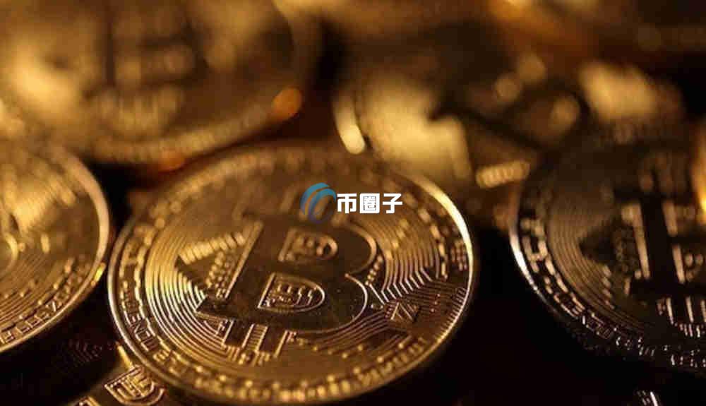 币圈涨幅最大的币种是什么？