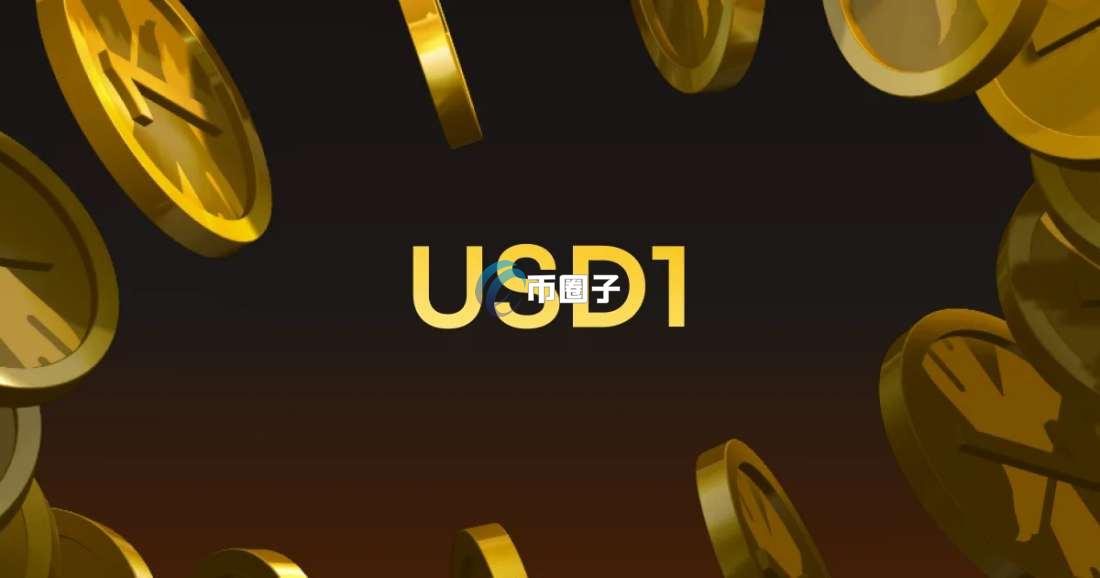 USD1是什么币种？USD1币有投资价值吗？