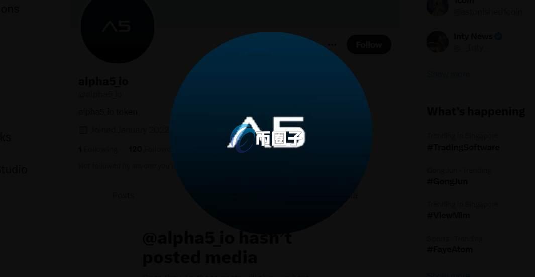 A5T币总发行量和总市值是多少？