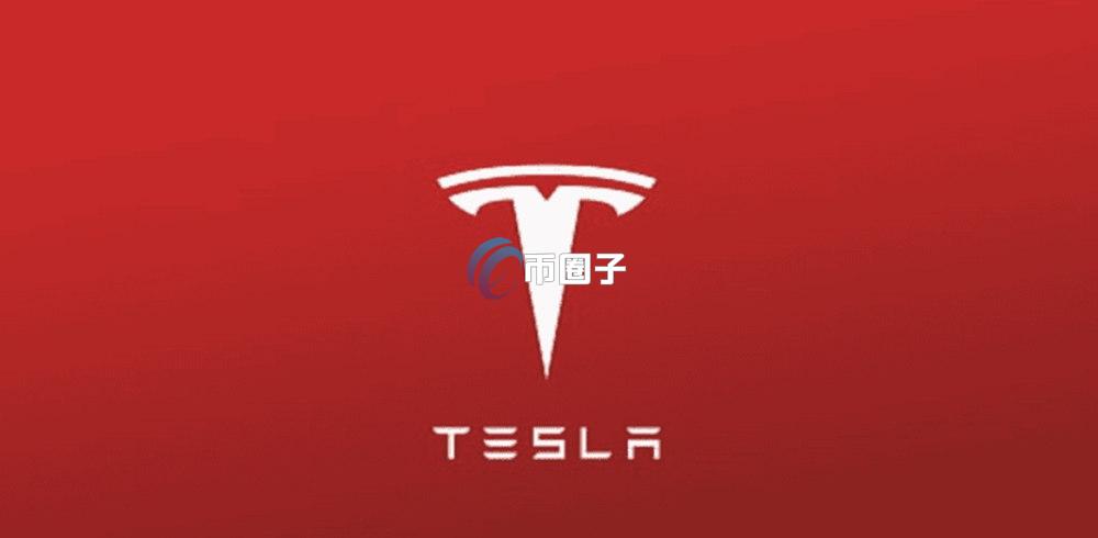 TSLAX是什么币种？TSLAX币前景如何？