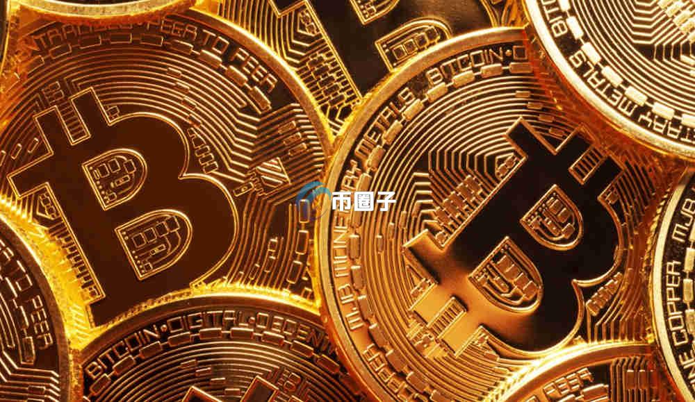 币种长期持有者是指什么？