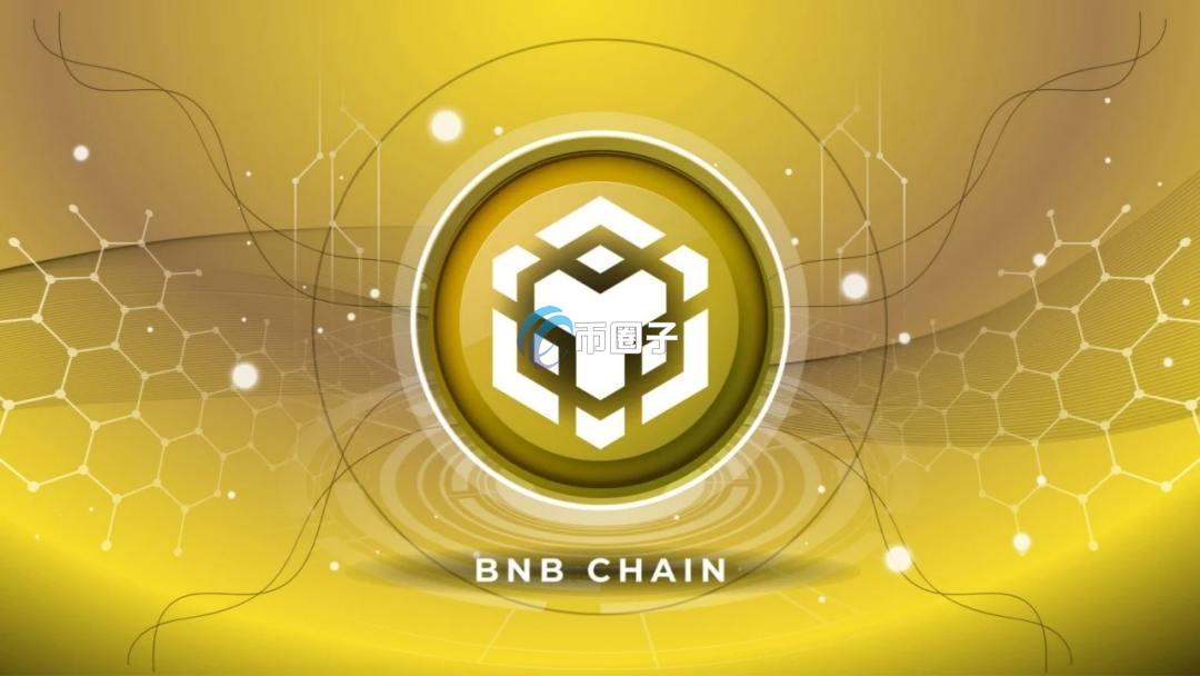 BNB暴涨原因是什么？BNB币涨这么多会跌一跌吗？