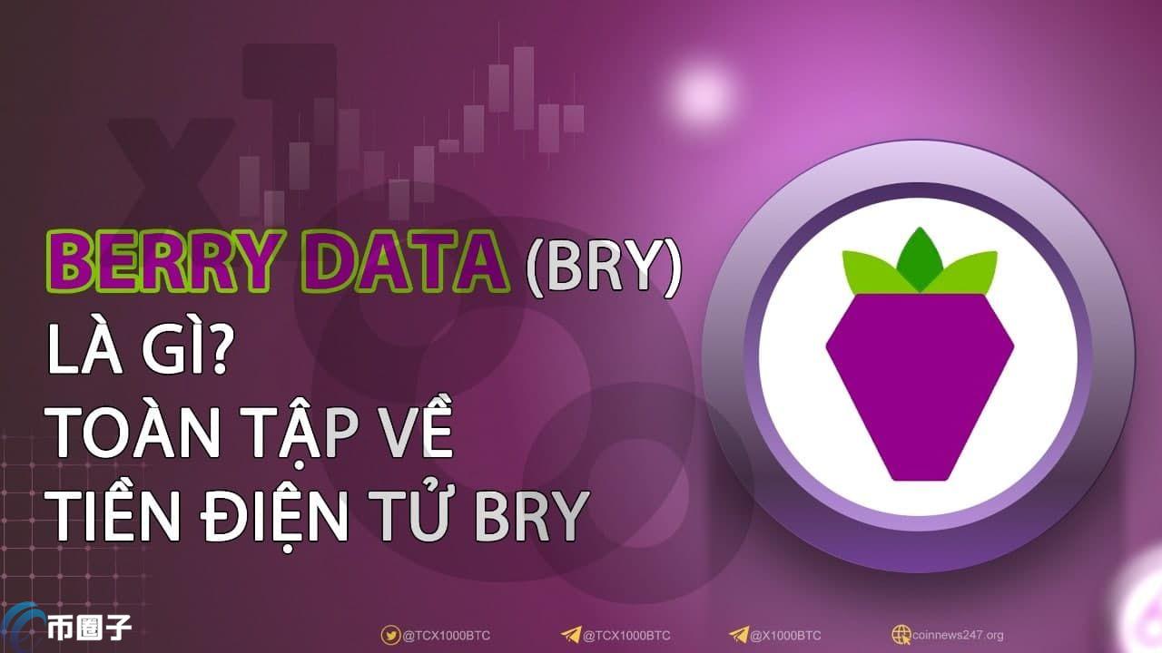 BRY币发行总量和发行价格是多少？