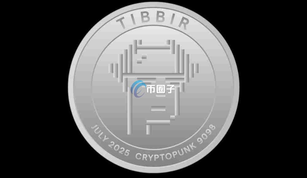 TIBBIR币多少钱一个?TIBBIR币未来价格能涨吗? TIBBIR币多少钱一个?TIBBIR币未来价格能涨吗?