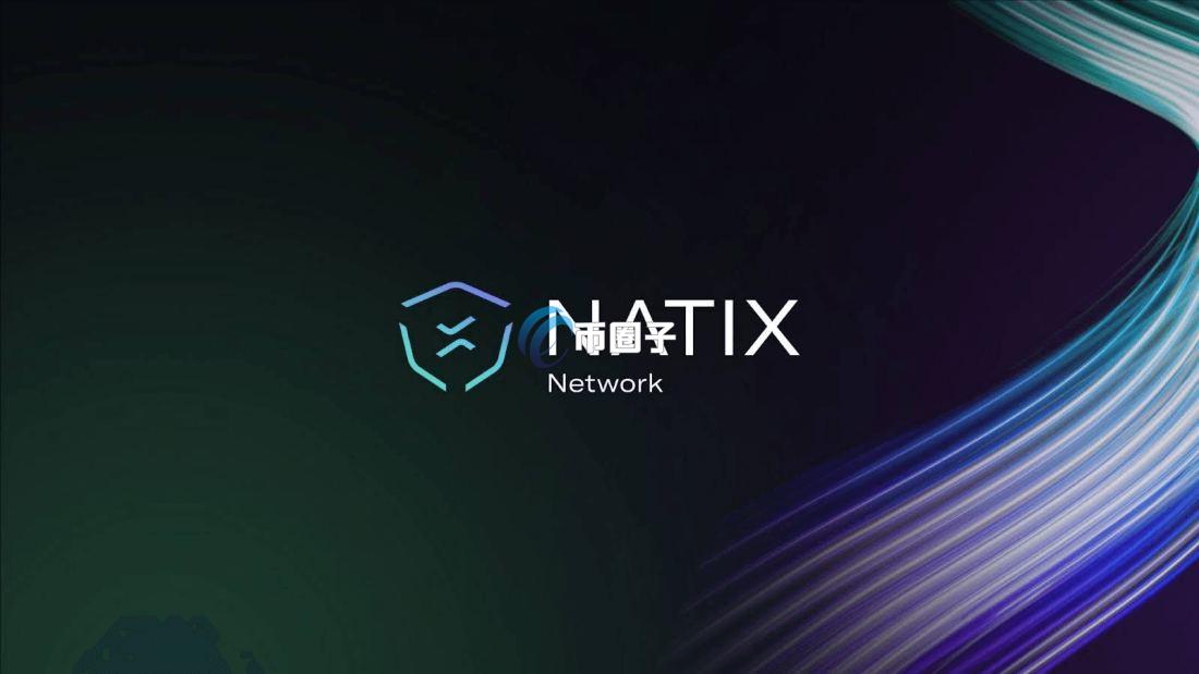 NATIX是什么币种？NATIX币值得投资吗？