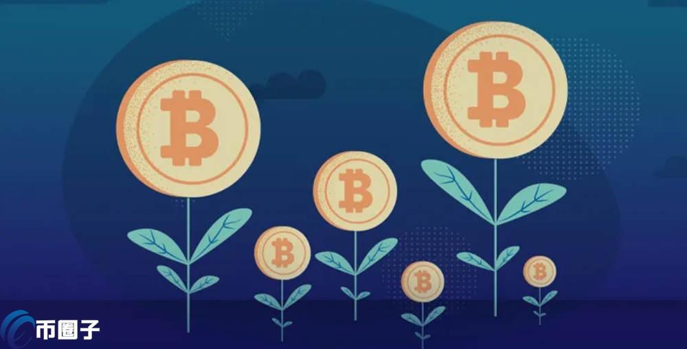 影响虚拟币价格波动的因素究竟有哪些？