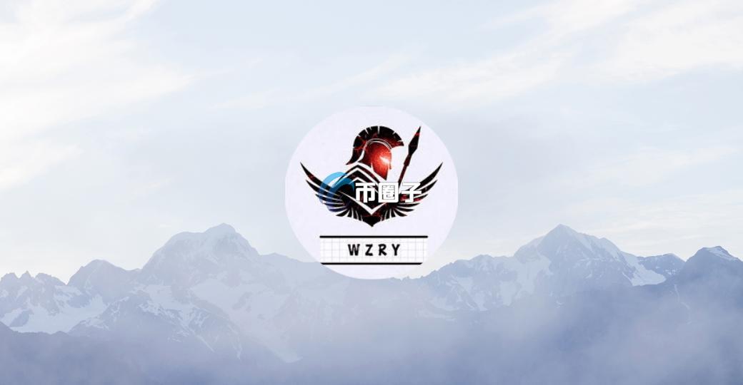 WZRY是什么币种？WZRY/荣耀币全面介绍