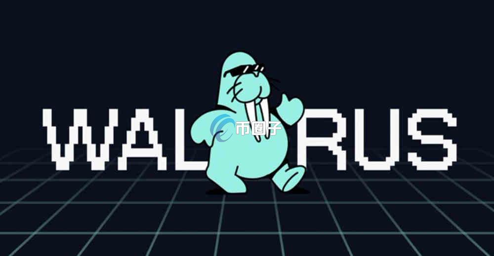 WAL币前景怎么样？WAL币是公链吗？