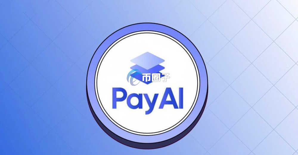 PAYAI币怎么样？PAYAI币潜力大吗？