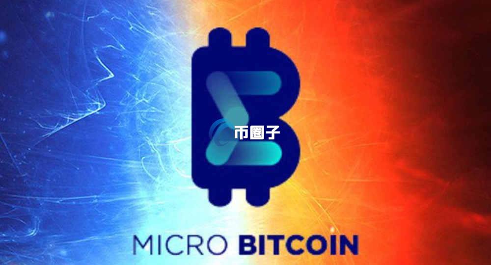 2026年分叉币排名榜单TOP更新了 2026年分叉币排名榜单TOP更新了