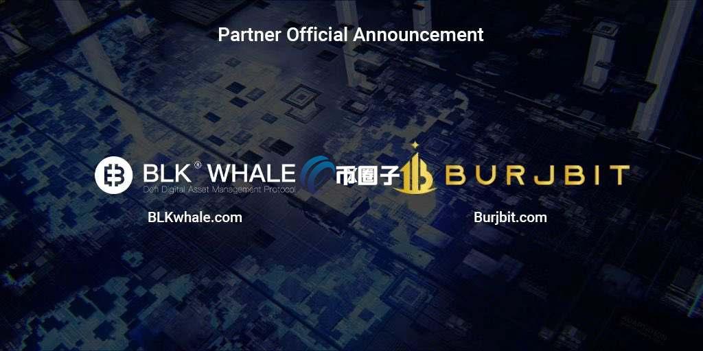 BLK是什么币？BLK币未来投资价值分析