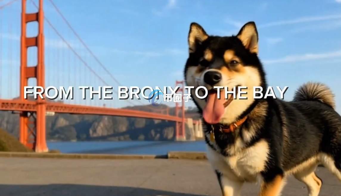 MANYU是什么币种？MANYU币值得投资吗？