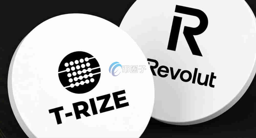 RIZE是什么币种？RIZE币价值如何？