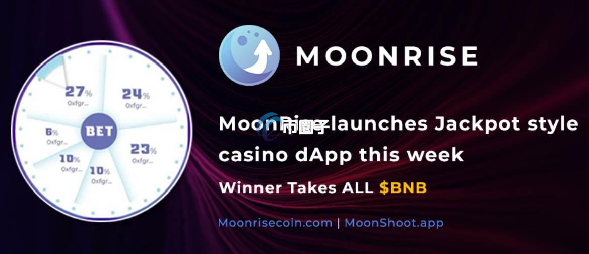 MOONRIS是什么币种？MOONRIS币前景如何？