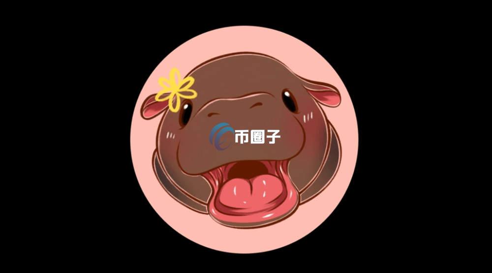 MOODENG币未来上涨空间大吗？