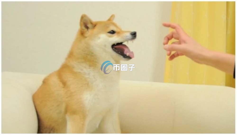 NFD币合约地址多少？NFD币合约地址介绍