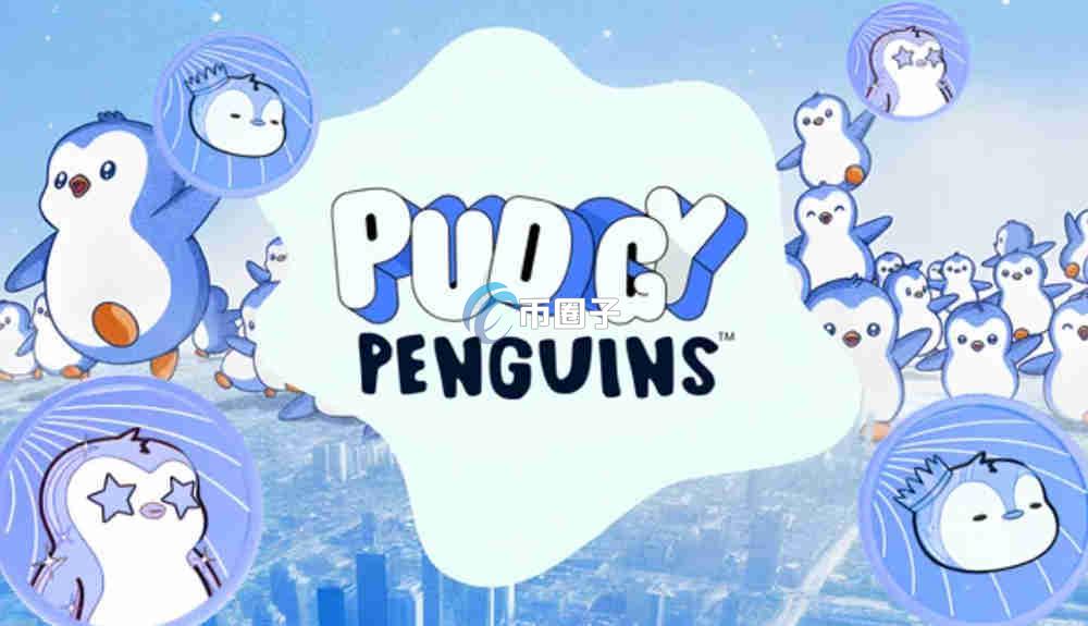 PENGU币能起飞吗？会涨到100元吗？