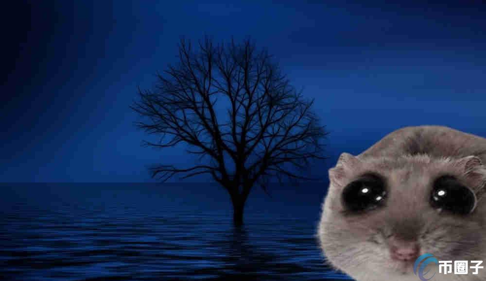 HAMMY是什么币种？HAMMY币全面介绍