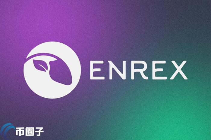 ENRX币发行总量和发行价格是多少？