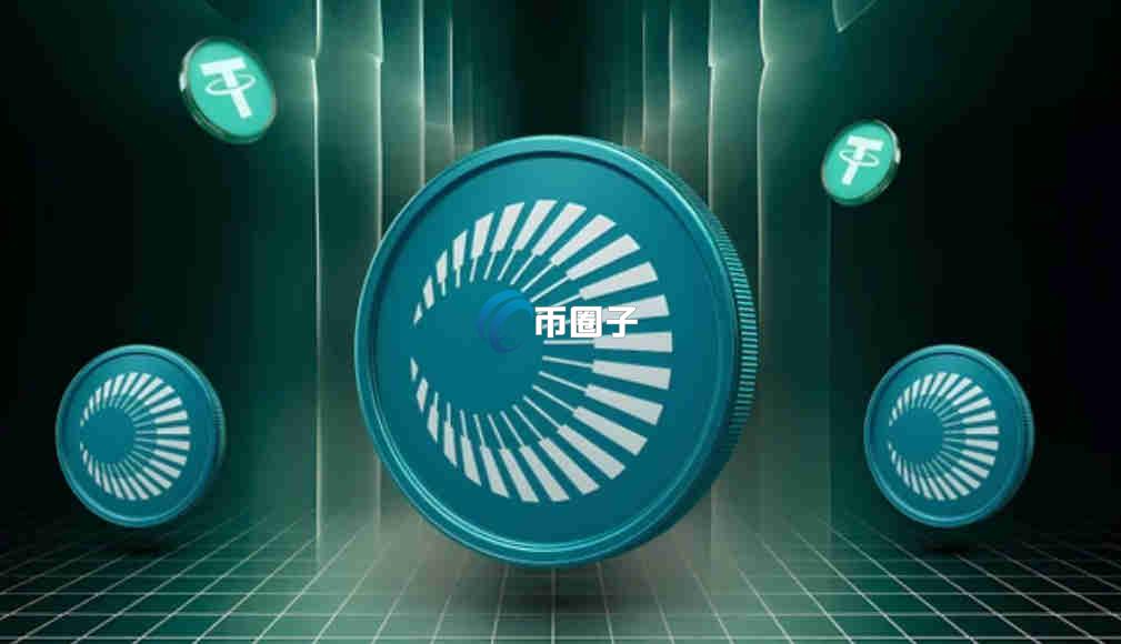 XPL币属于山寨币吗？XPL币适合长期持有吗？