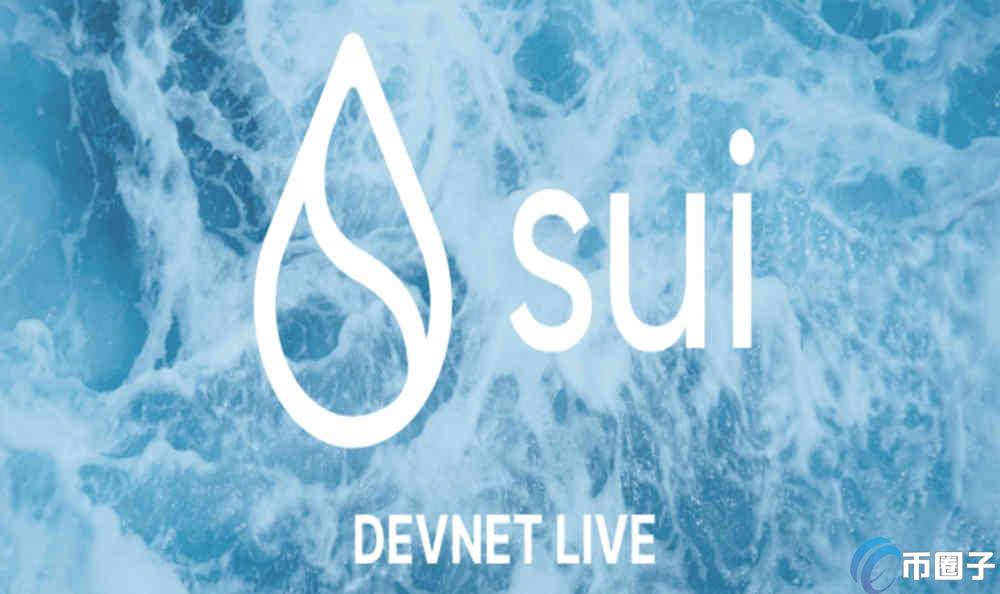 详细分析SUI币有投资价值吗？