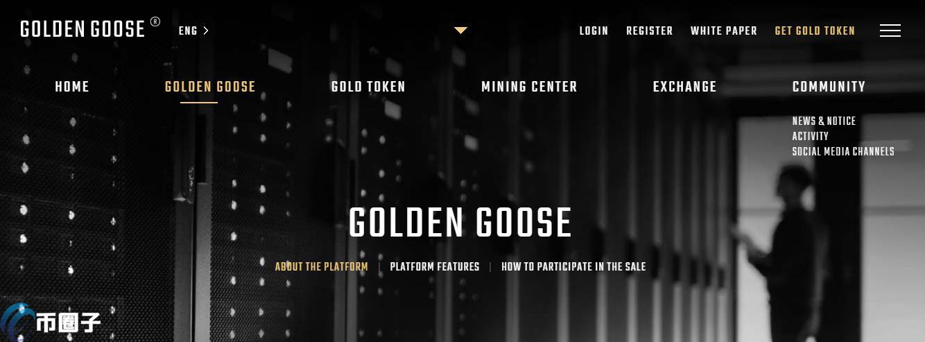 GOLD总发行量和总市值是多少？