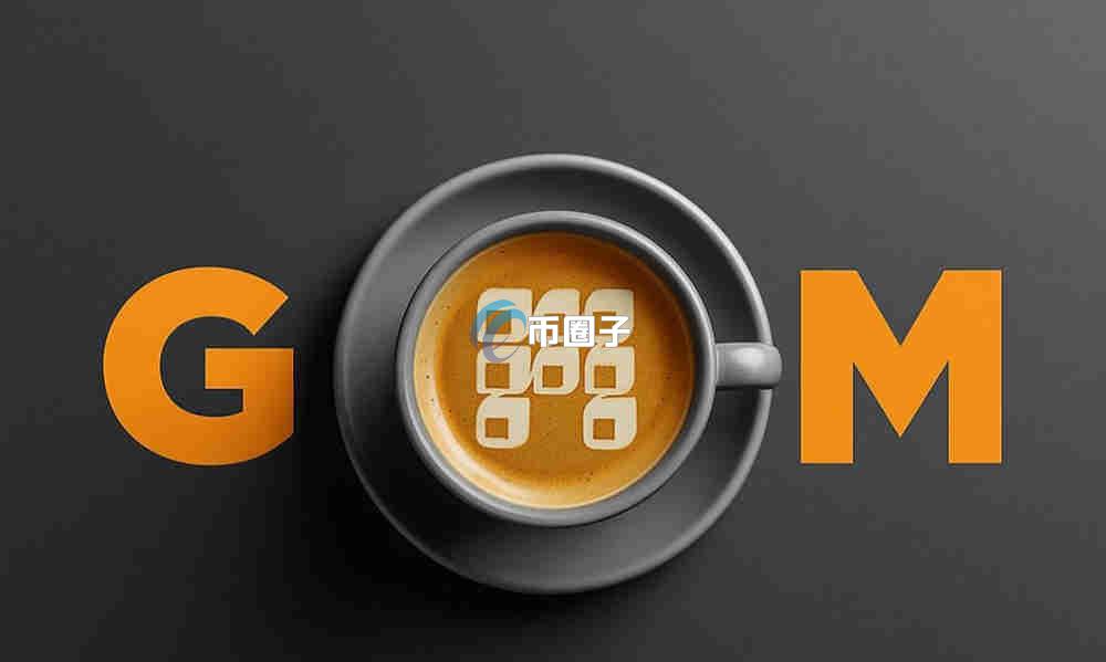 RWA币是哪个国家发行的？是资金盘吗？