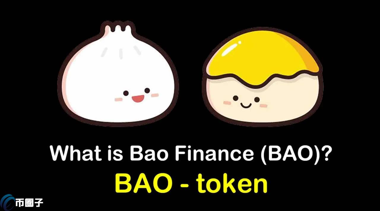 BAO是什么币种？BAO币前景怎么样？