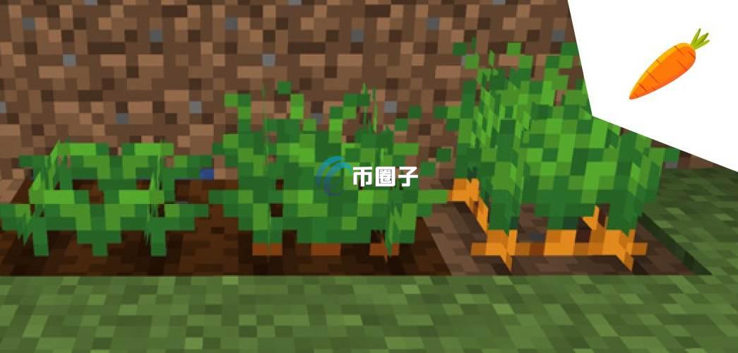 CRT币历史最高价格和最低价格多少钱？