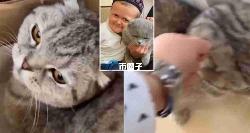 BARSIK是什么币种？BARSIK币有价值吗？