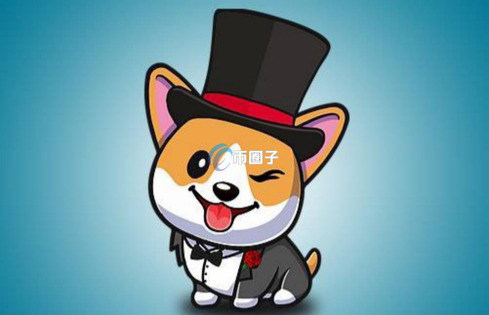 MOLLYDOGE是什么币种？MOLLYDOGE币详细介绍