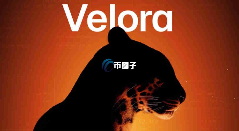 VLR是什么币种？VLR币值得投资吗？