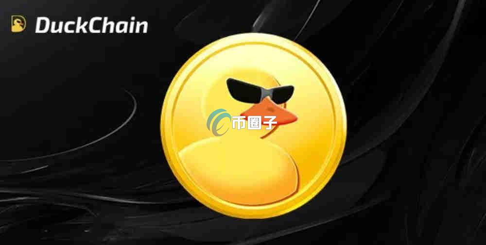 DUCK币能长期持有吗？全潜力大吗？