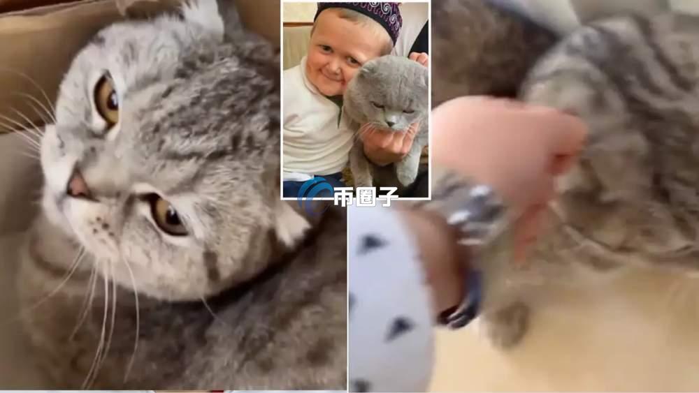 BARSIK币值多少钱?BARSIK币2025年价格预估 BARSIK币值多少钱?BARSIK币2025年价格预估