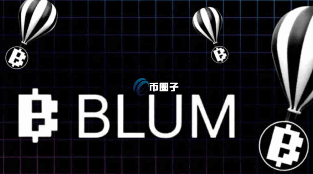 BLUM币上市时的市值和发行价格是多少？