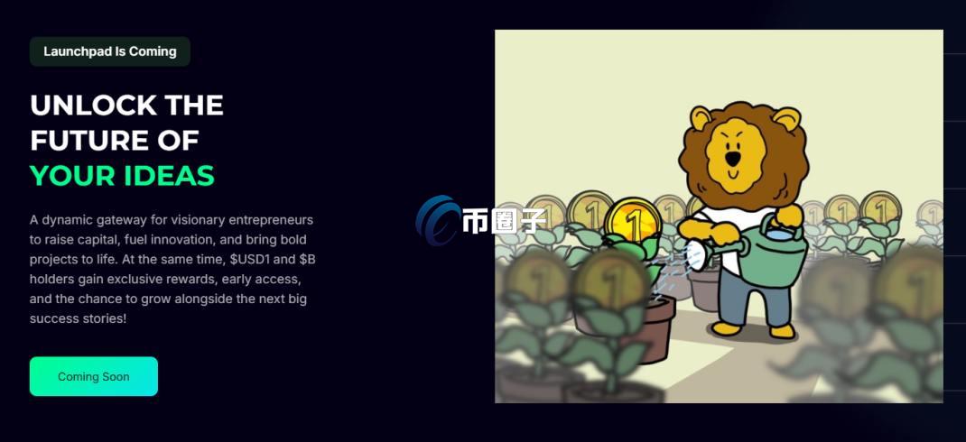 B币多少钱一个？可以提现吗？