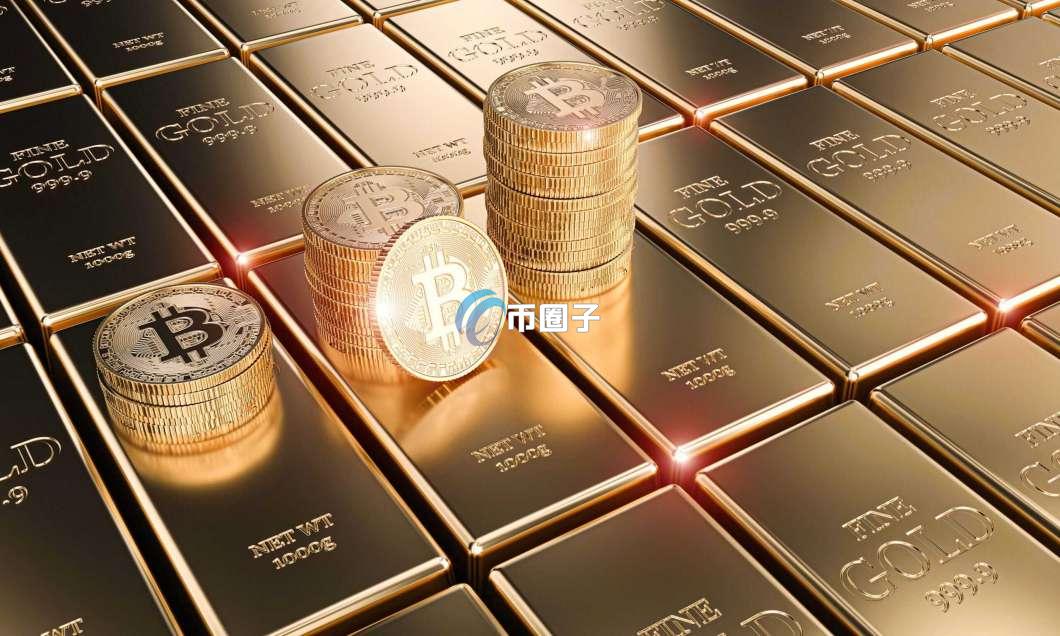 币圈涨幅最大的币种是什么？