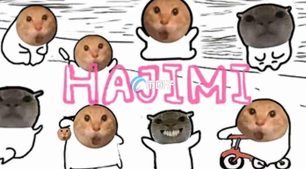 哈基米币怎么买？哈基米币交易最简单方法和教程