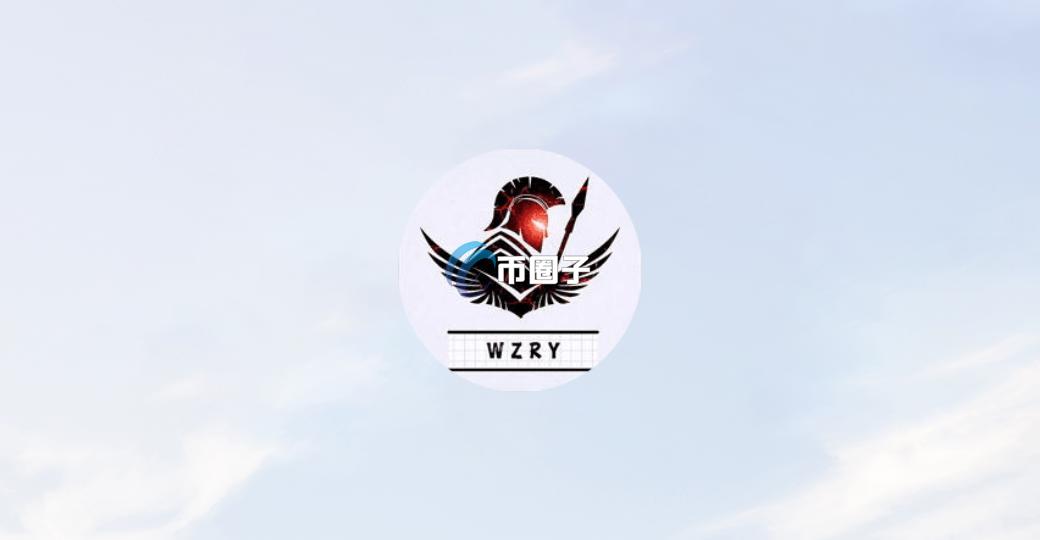 WZRY是什么币种？WZRY/荣耀币全面介绍