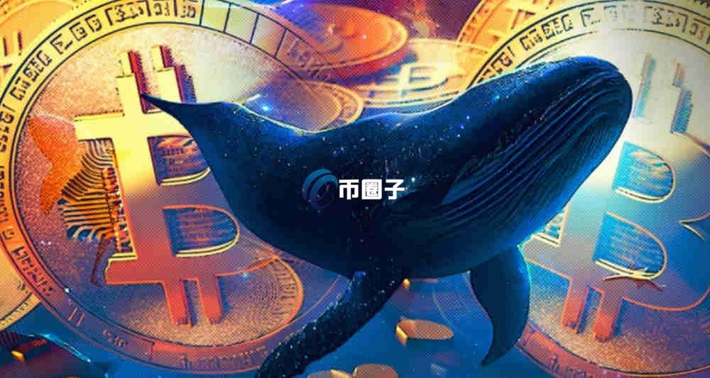 价格低的币种值得买吗？有没有风险？