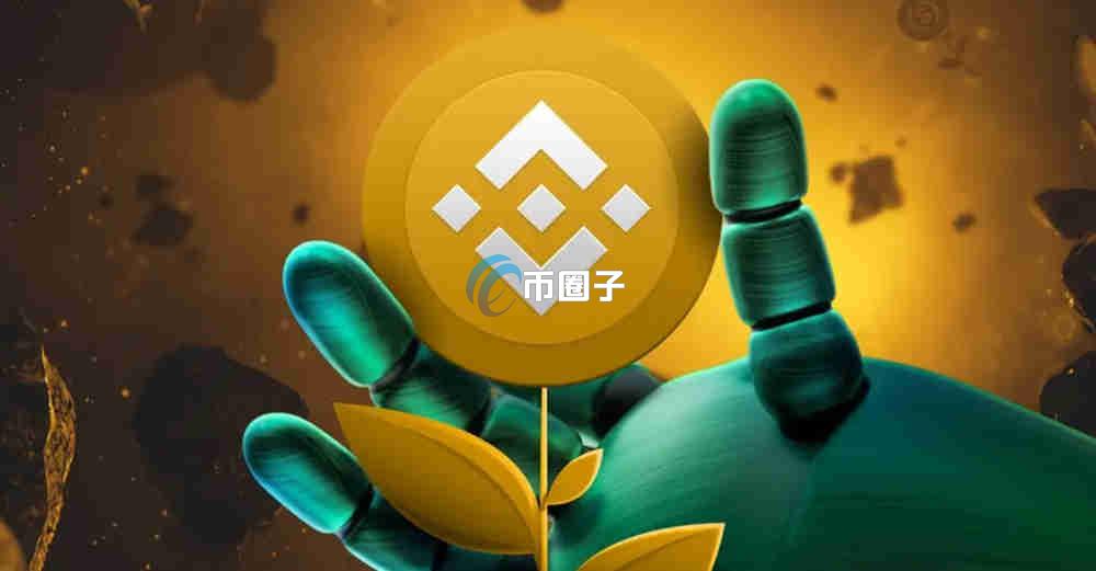 BNB涨了多少倍？BNB涨这么多会跌一跌吗？