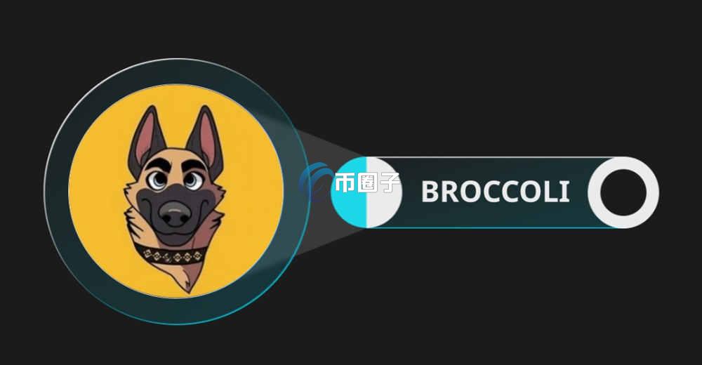 BROCCOLI币在哪个交易所可以买卖交易？