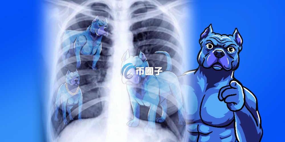 DOGINME币在哪里购买？DOGINME币购买交易新手教程