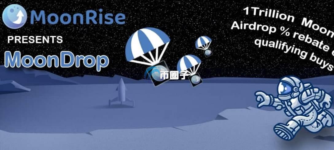 MOONRIS是什么币种？MOONRIS币前景如何？