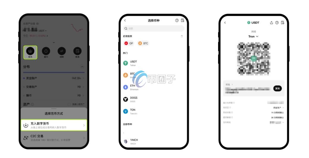 详细介绍充币是往该地址里放币吗